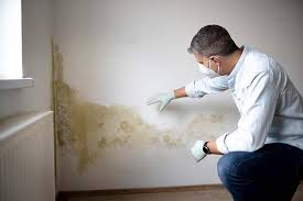 Oak Hill, FL Mold Prevention & Removal  Company